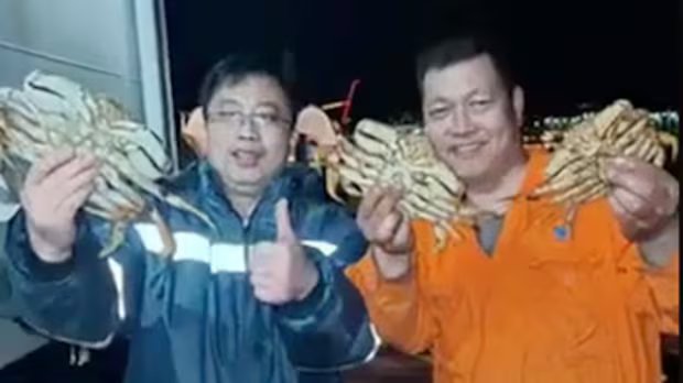 DFO investigating video of sailors bragging about giant crab catch near Vancouver