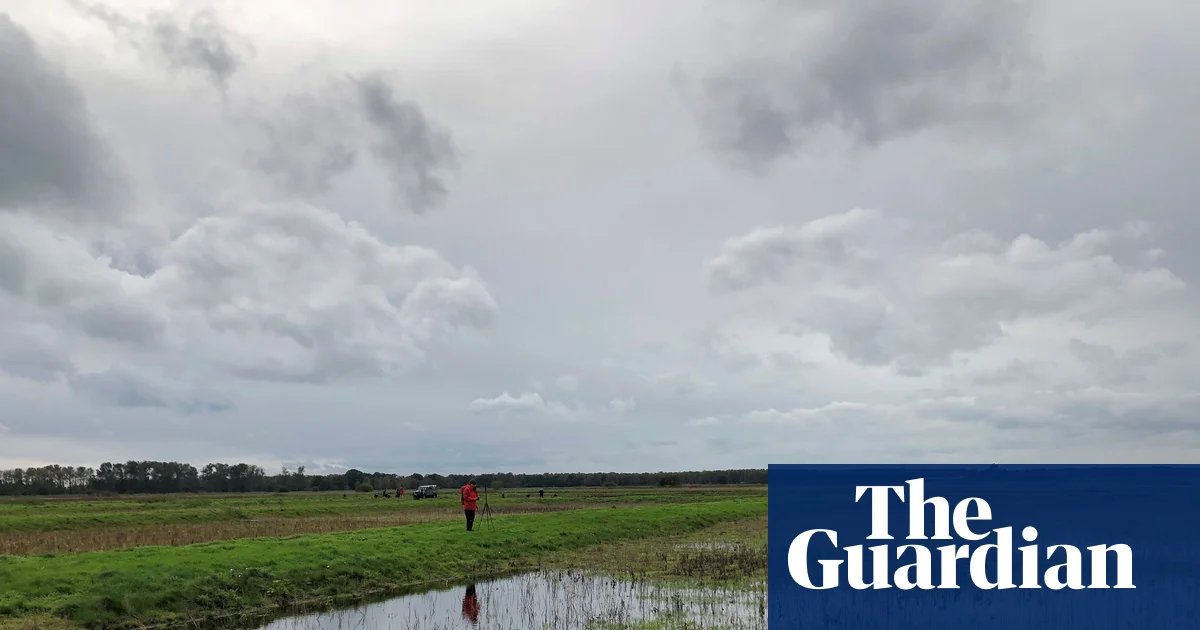 England should give over 7% of land to nature and renewables to meet environmental targets, data shows | Conservation