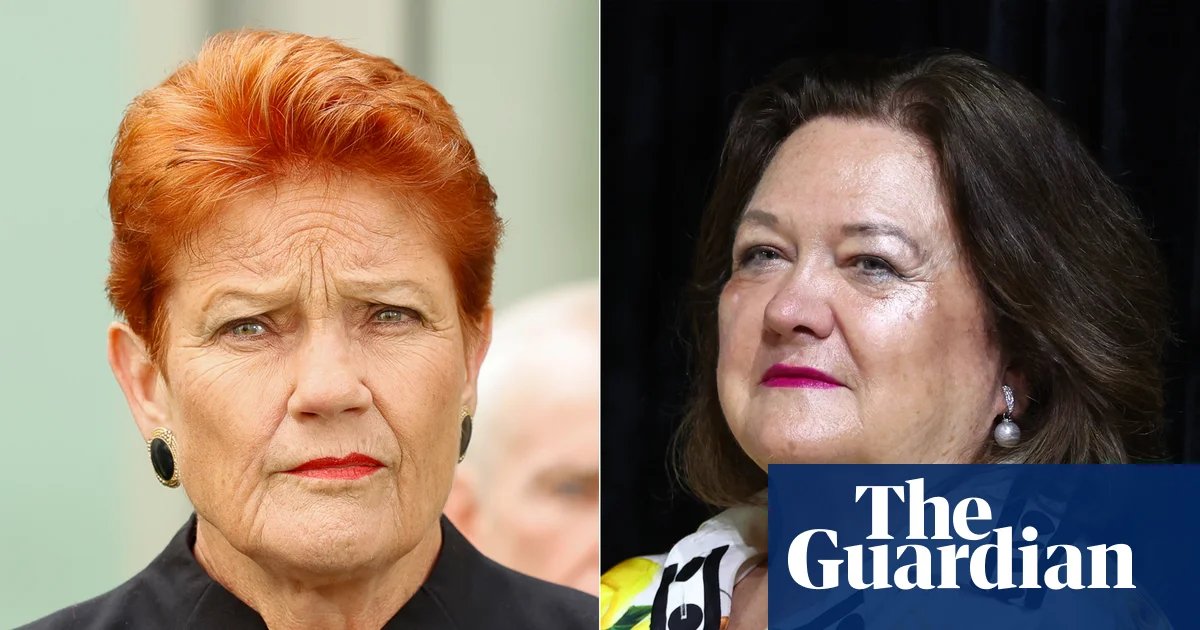 Bernardi vows to pay for flights taken with Hanson on Rinehart’s plane amid confusion about SA’s donations ban | Australian political donations
