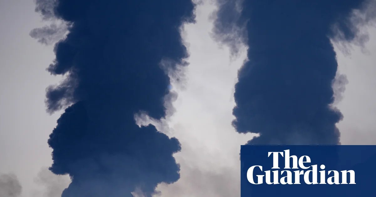 Starmer adviser urges ministers to look at profits cap for energy and petrol firms | Energy industry