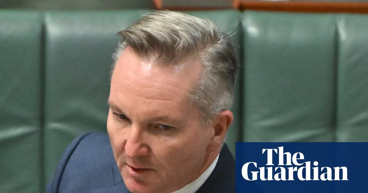 Hundreds of petrol stations across Australia run out of fuel as Albanese inks supply deal with Singapore | Petrol prices
