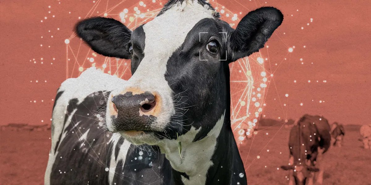 The Download: animal welfare gets AGI-pilled, and the White House unveils its AI policy