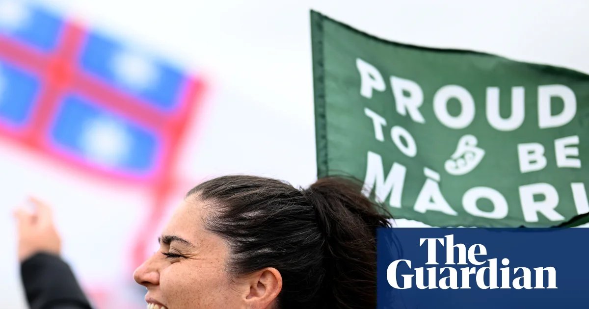 More young people want to vote in New Zealand’s Māori electorates. What are they and how do they work? | New Zealand politics