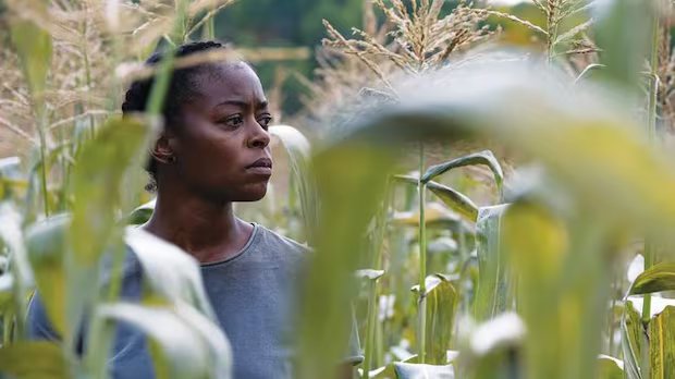 North of North, Heated Rivalry, 40 Acres lead Canadian Screen Award nominees