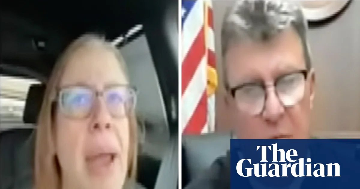 Judge rebukes woman who denied driving while video-calling from car: ‘Do you think I’m that stupid?’ | Detroit