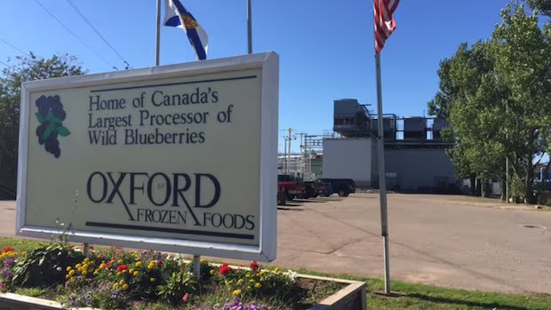 Oxford Frozen Foods fined $10K for mislabelling blueberries as Canadian