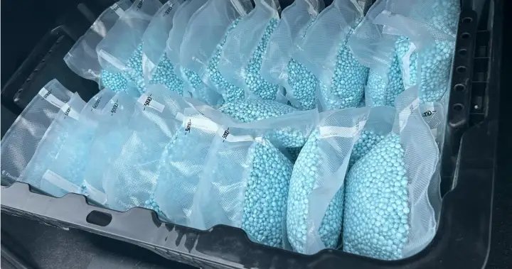 Montreal man facing up to 120 years in U.S. prison over opioid trafficking charges – Montreal