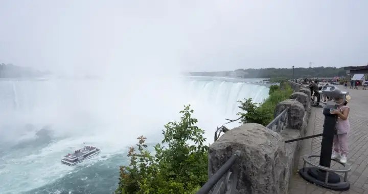 Niagara councillors vote to slow regional chair’s governance consultations