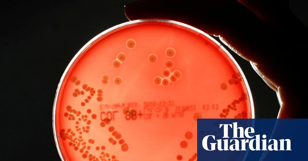 Pipeline of new drugs to fight superbugs is ‘worryingly thin’, experts warn | Pharmaceuticals industry