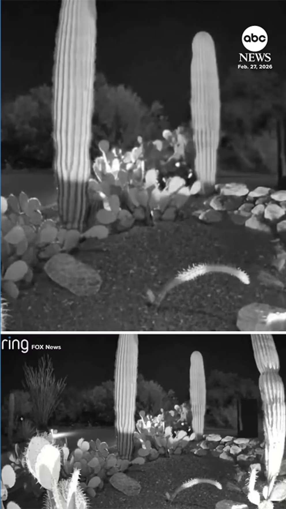 Video New video of car emerges in Nancy Guthrie investigation