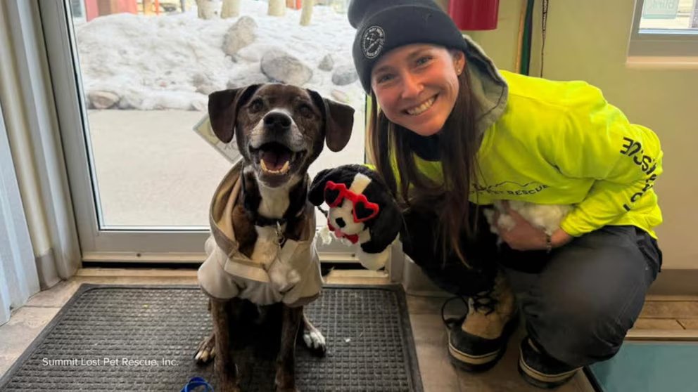 WATCH: Colorado family tells David Muir about reuniting with dog missing for 43 days