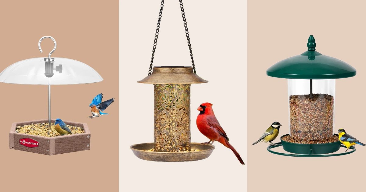 The Best Bird Feeders of 2026