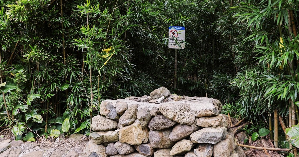 Wife of Maui doctor describes terrifying birthday hike at attempted murder trial