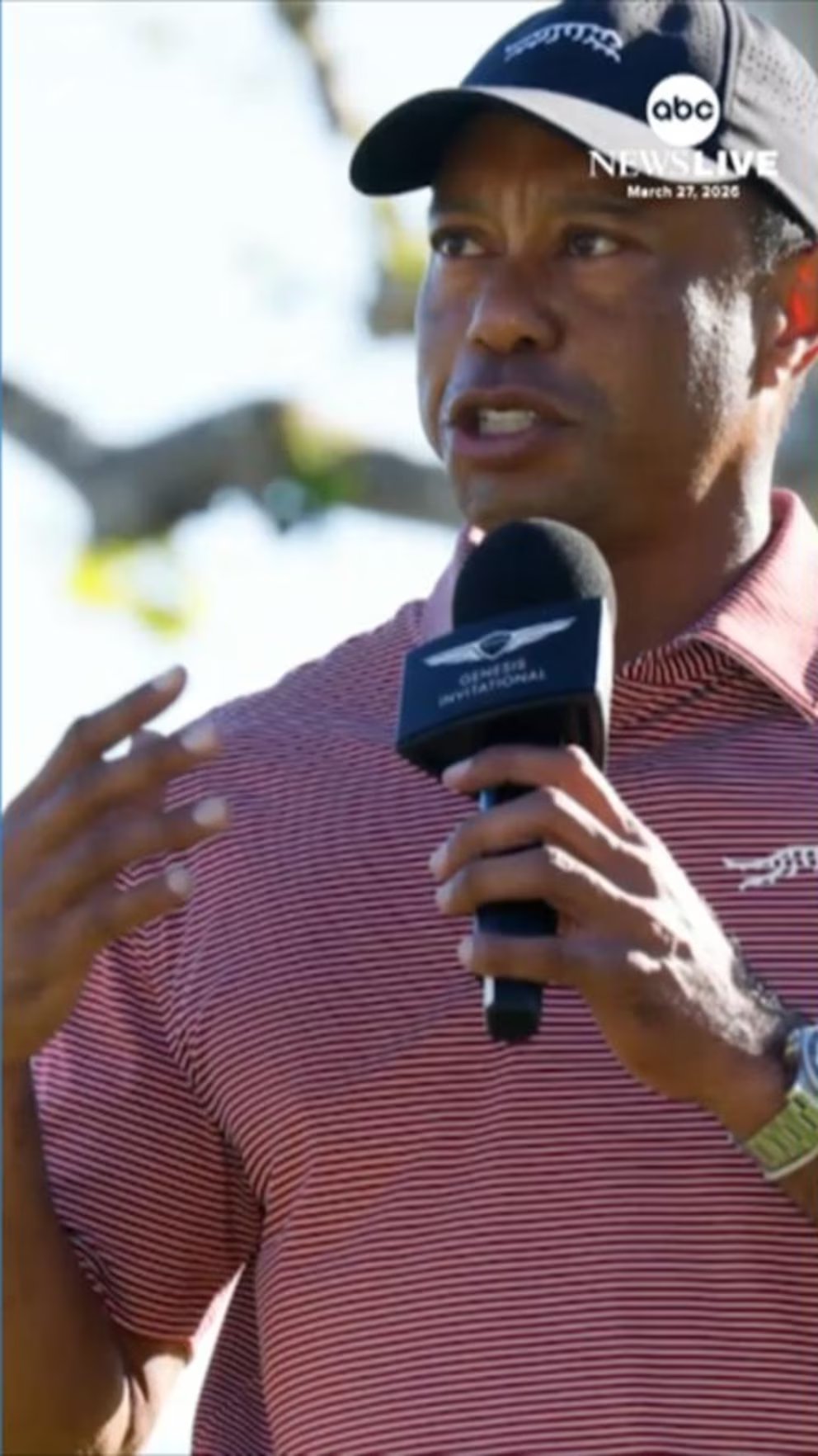 Video Tiger Woods involved in rollover crash in Florida: Sheriff