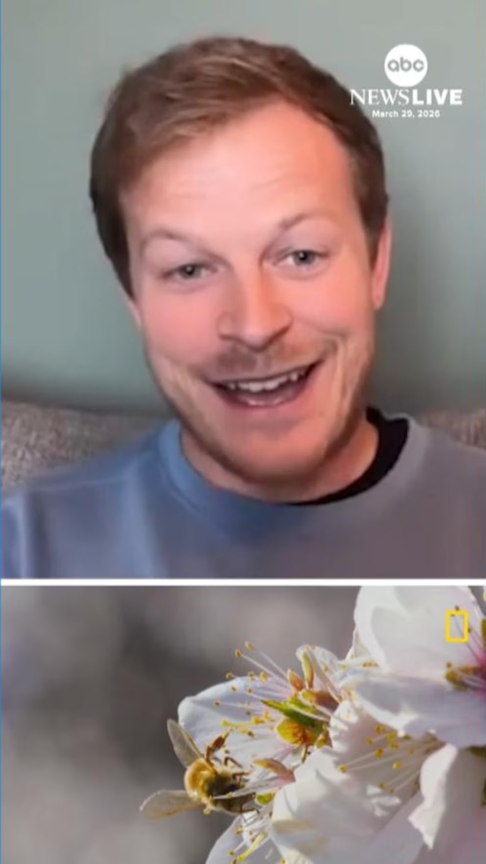 Video Nat Geo’s Bertie Gregory on how you can help bees: ‘Plant wildflowers’