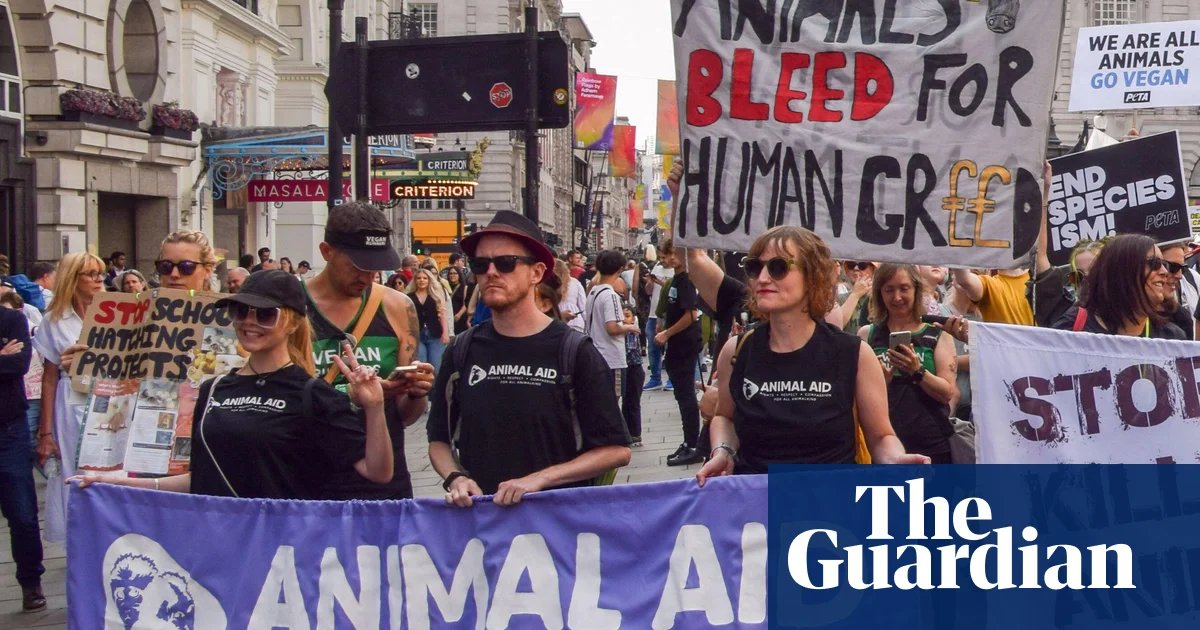 Charity challenges ‘chilling’ law change restricting protest at animal testing sites | Protest