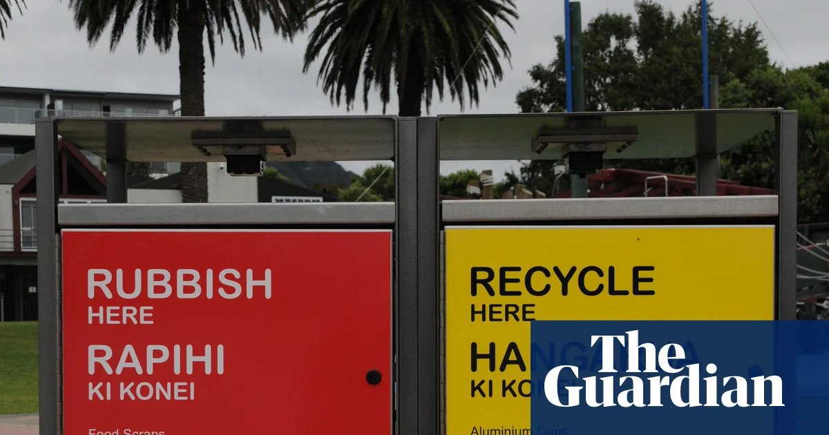 New Zealand coalition votes to make English an official language as critics slam ‘cynical’ bill | New Zealand politics