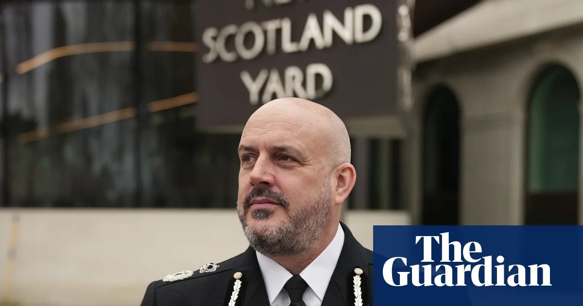 National security cases involving hostile states up 50%, top police officer says | UK security and counter-terrorism