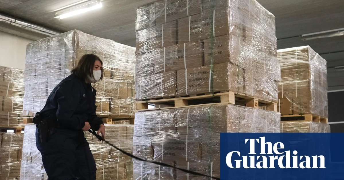 Belgium at risk of becoming ‘narco-state’, judge warns | Drugs trade