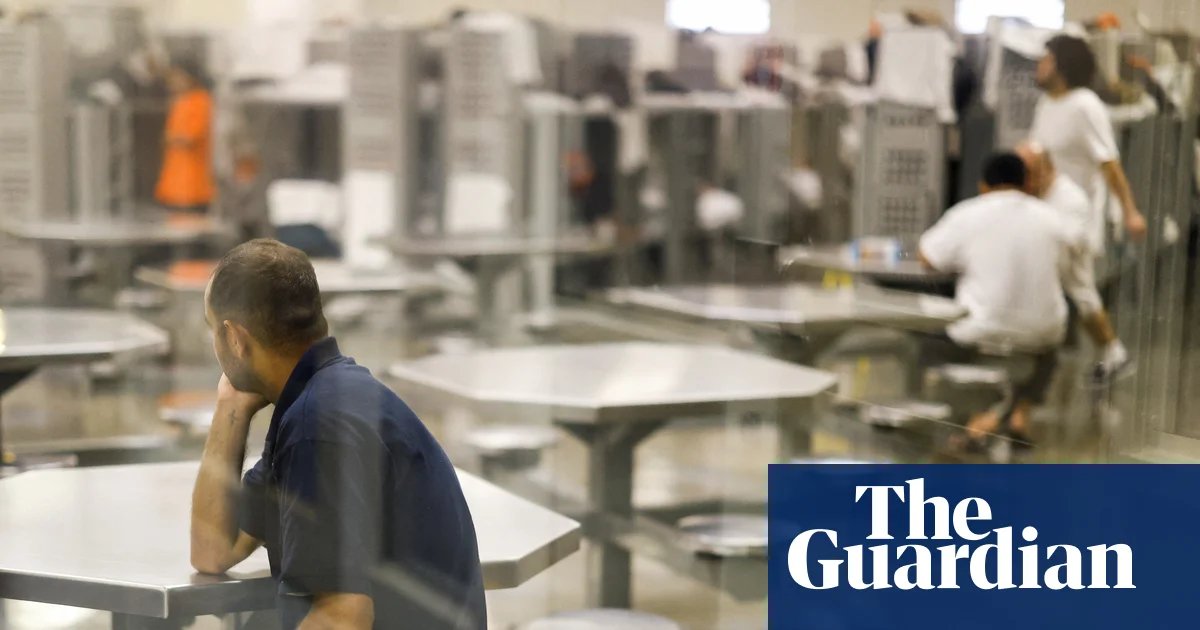 New York high school student released after 10 months in ICE facility | US immigration