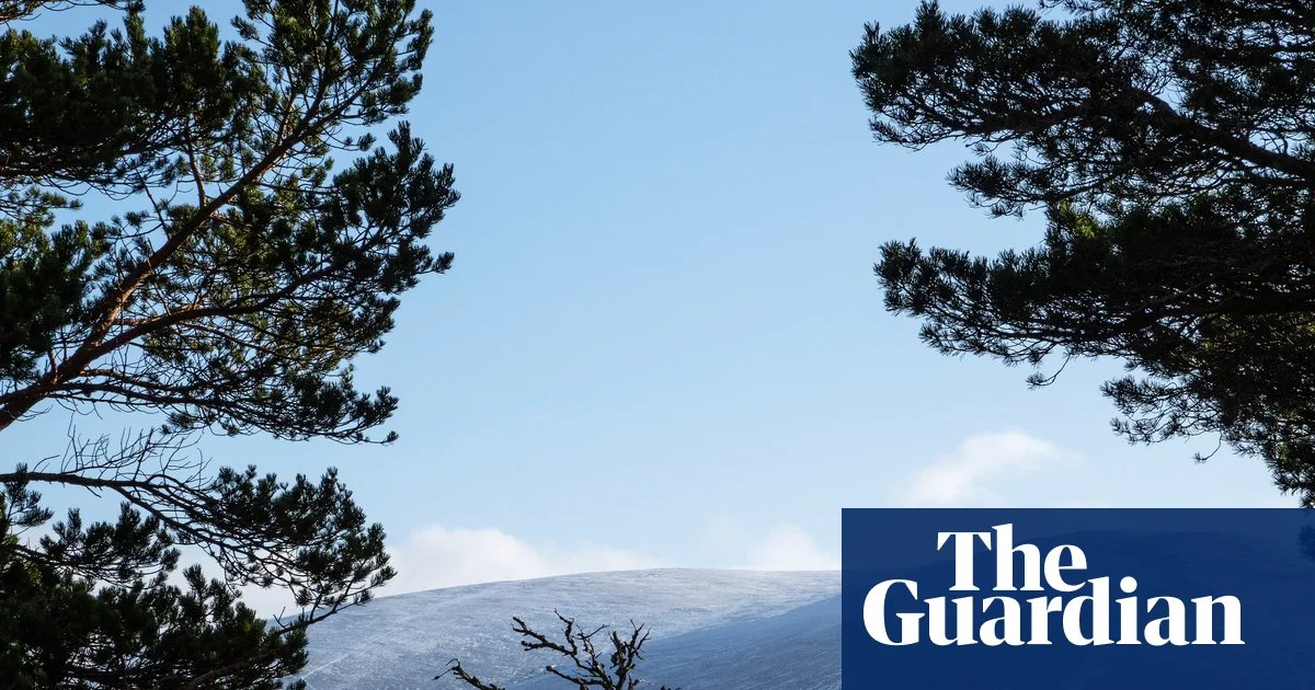 BrewDog sold highland estate for knockdown price after abandoning reforestation plans | BrewDog