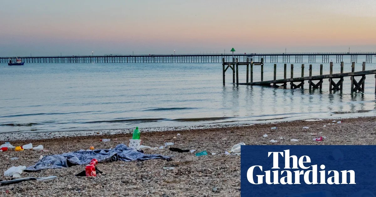 More than 70 UK councils failed to issue single fine for littering last year | Waste