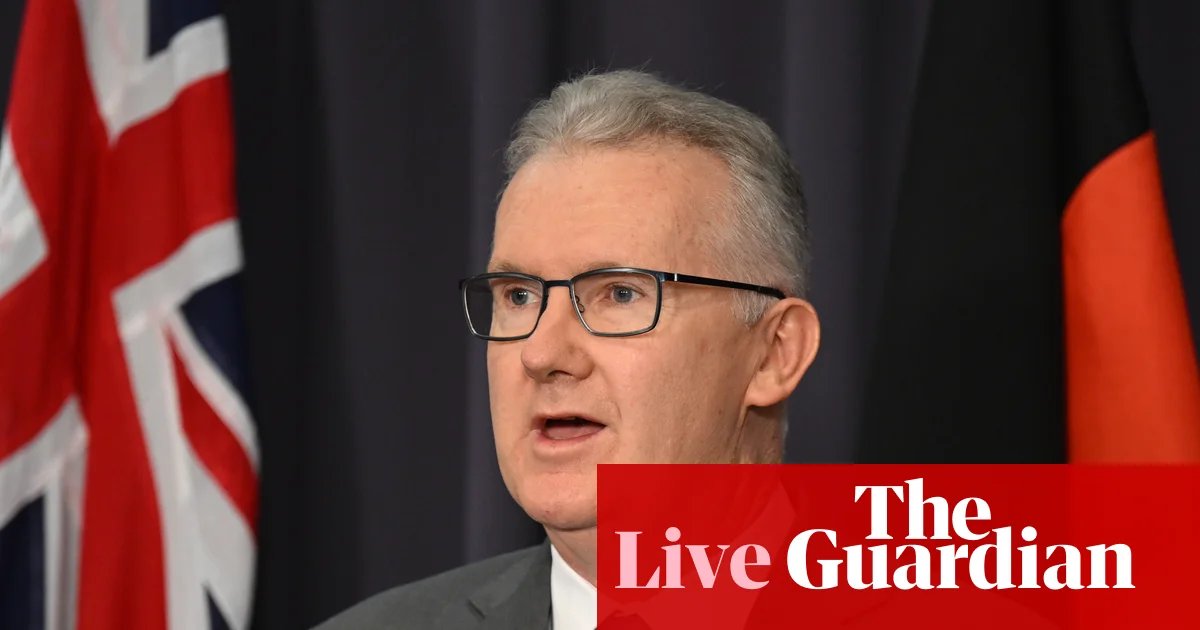 Australia politics live: ‘We got lucky’ with failed Perth attack says Burke; treasurer says economy will be ‘buffeted’ | Australia news