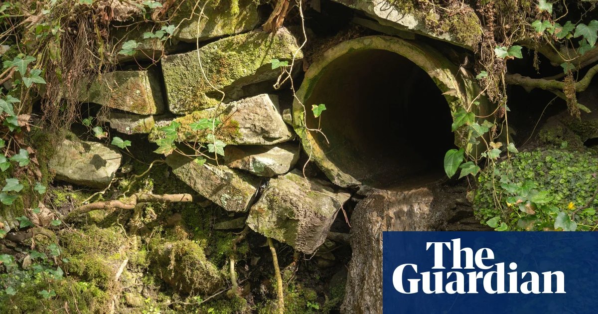 Welsh Water to pay £44.7m after ‘unacceptable’ sewage works failings | Water industry