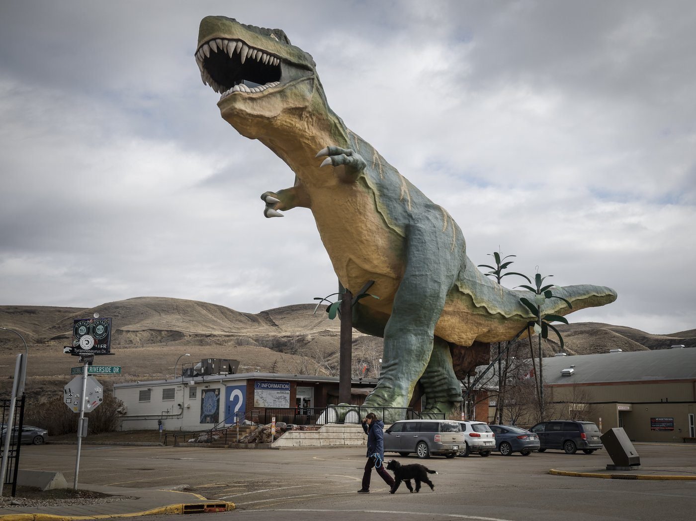 Report finds beloved Alberta T. rex tourist draw has issues but far from extinct