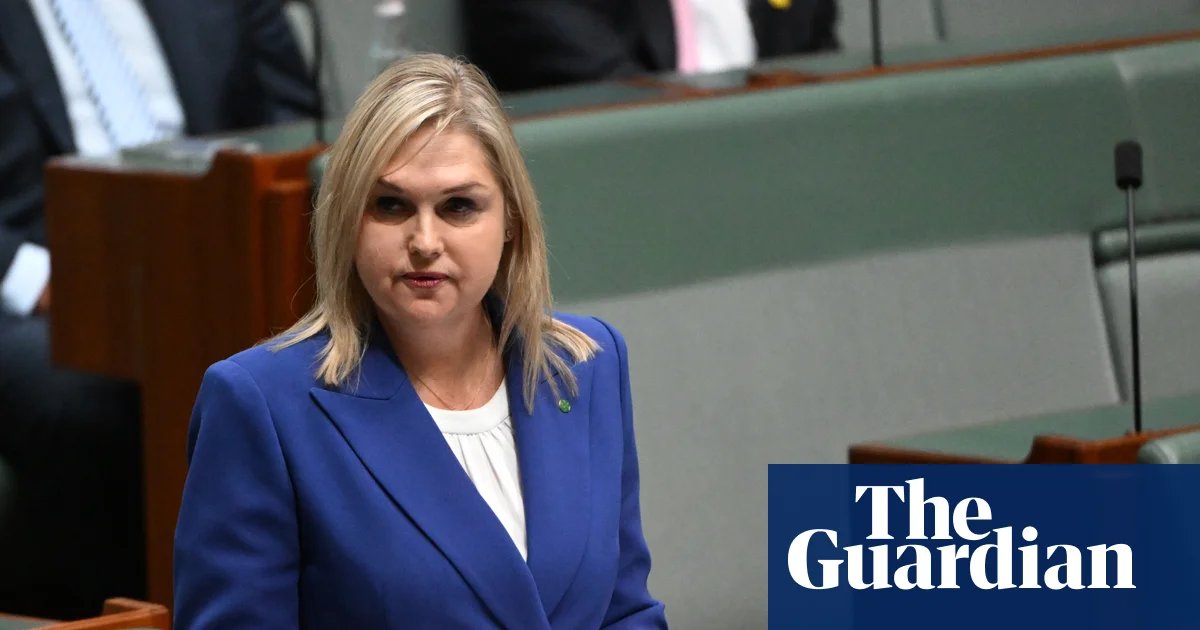 Ex-Liberal MP says the party must introduce gender quotas to start winning elections | Australia news