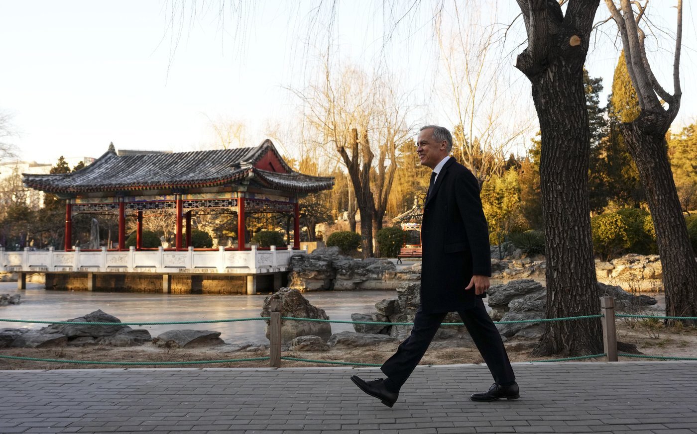 Carney did not ‘proactively’ raise human rights or foreign interference with Xi: docs