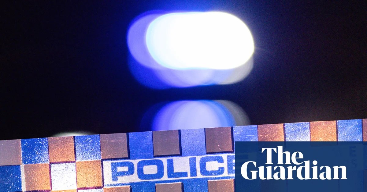 Melbourne girl, 13, allegedly shouted antisemitic remarks, threw eggs and swerved car towards Jewish families | Melbourne