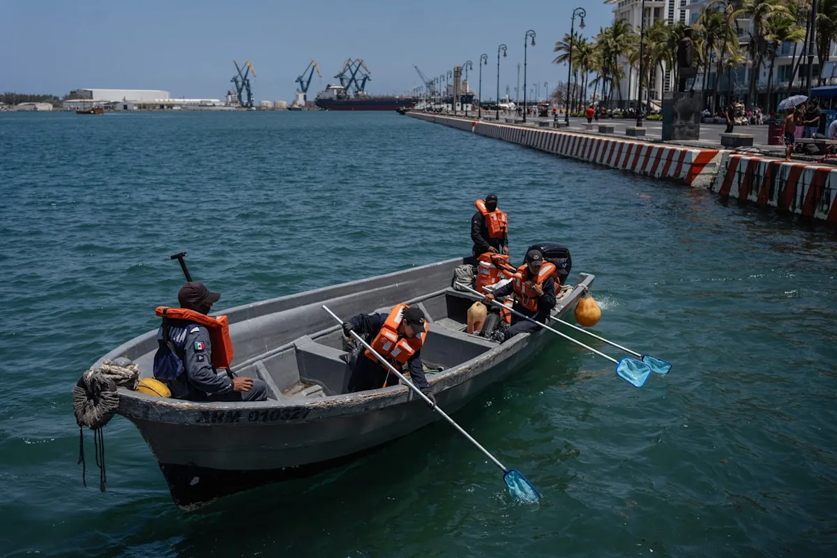 Oil spill deals economic blow to fishermen in the Gulf of Mexico