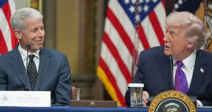 Trump says data centre deal with AI firms will keep electricity costs low – National