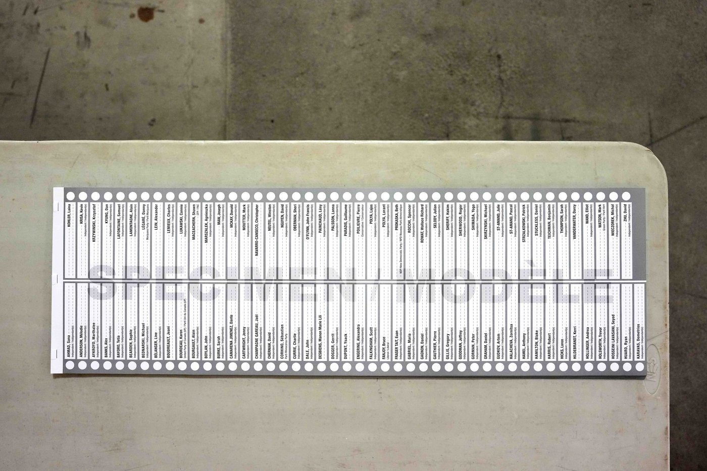 House committee calls for changes to Elections Act to prevent long ballot protests