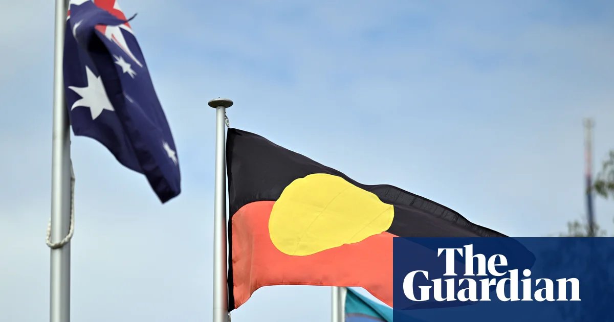 ‘Removing flags doesn’t stop racism’: regional NSW council abandons plan to stop flying Aboriginal flag | Indigenous Australians