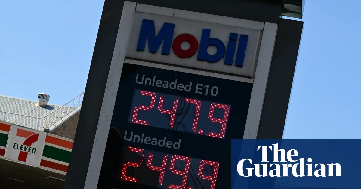 ‘Political Band-aid’: cutting Australia’s fuel excise could make petrol shortages worse, economists say | Petrol prices