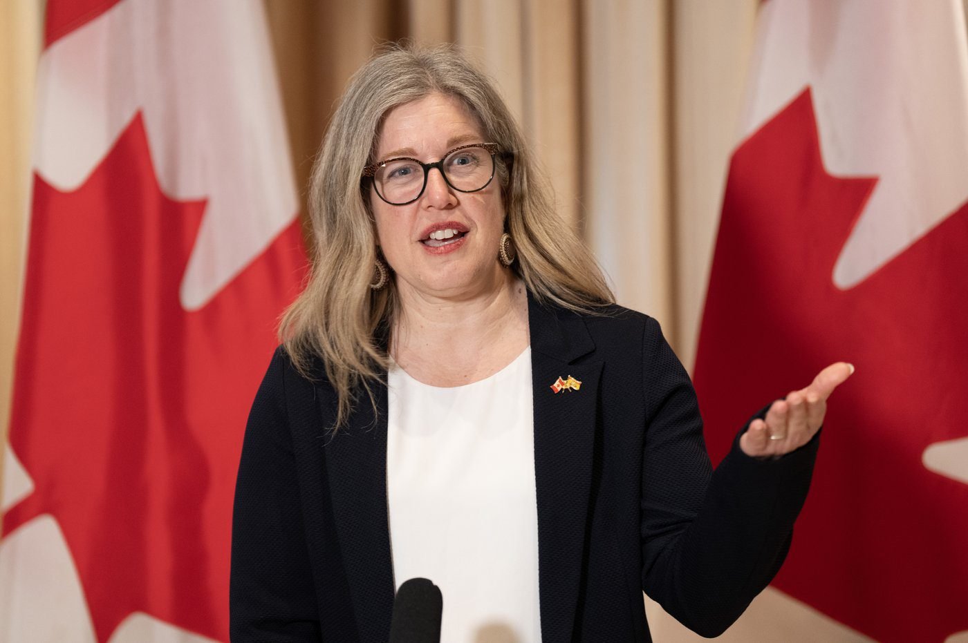 Cash-strapped N.B. braces for cuts as Premier Holt’s Liberals deliver budget