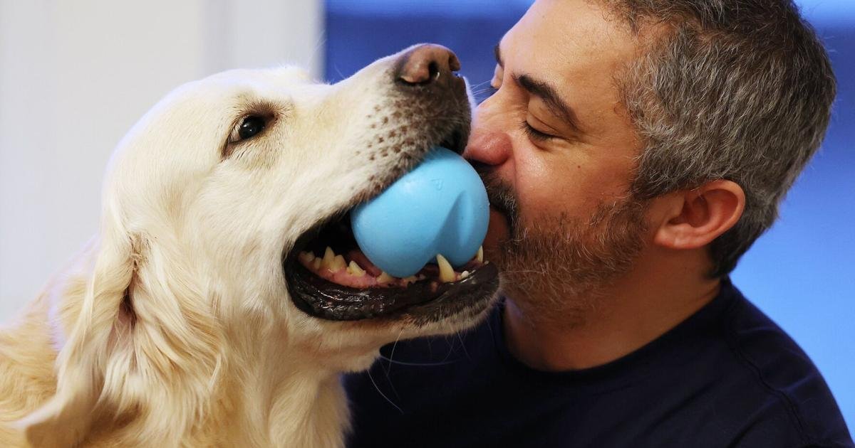 Dolly Parton. Diefenbarker. Ossington. Are these Toronto’s most unique dog names?