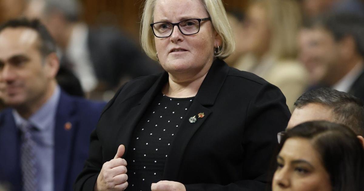 Veterans Affairs minister announces 'independent review' of rehab program that former soldiers say has failed them