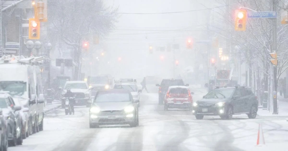 Toronto's flawed awarding of snow contracts cost millions more than expected: audit