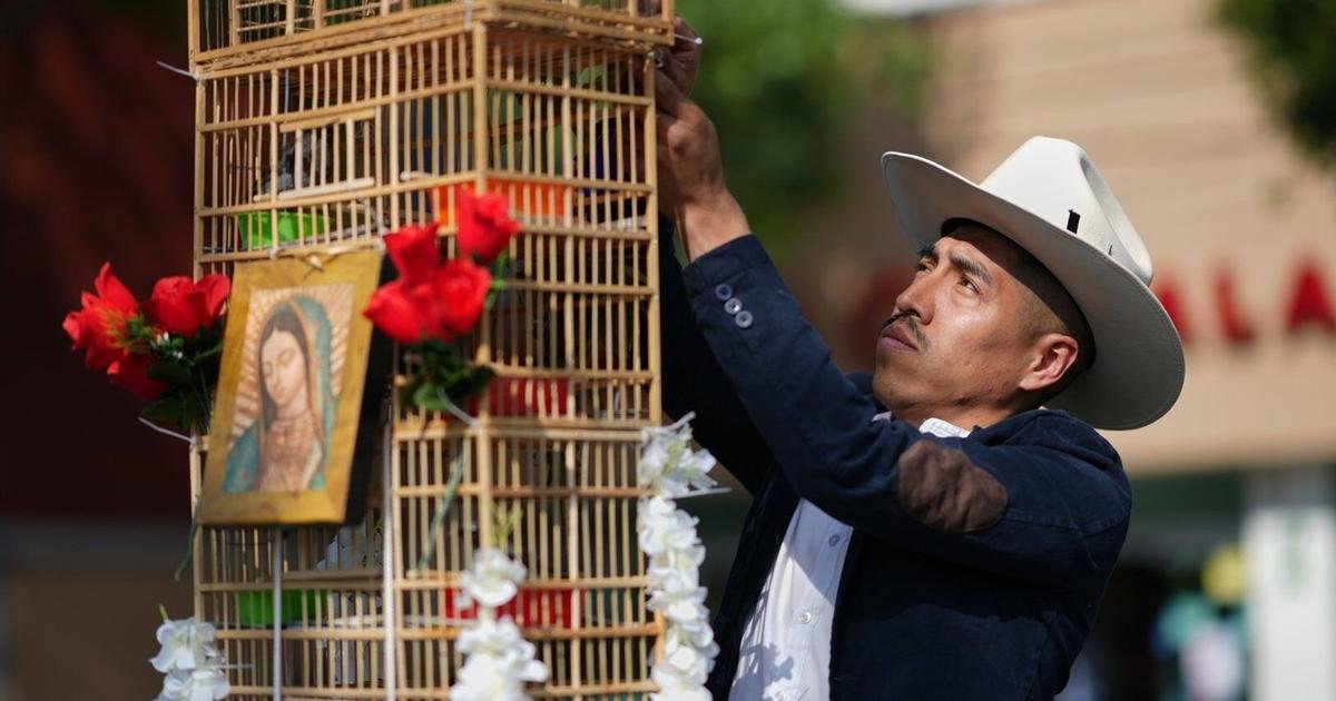These men carry towers of birds through Mexico's streets. They say their tradition is dying