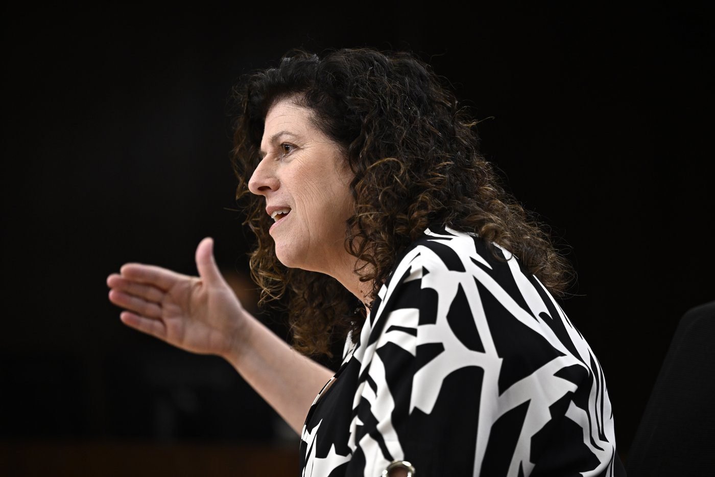 CP NewsAlert: Phoenix backlog needs to be cleared to avoid errors in new system: AG