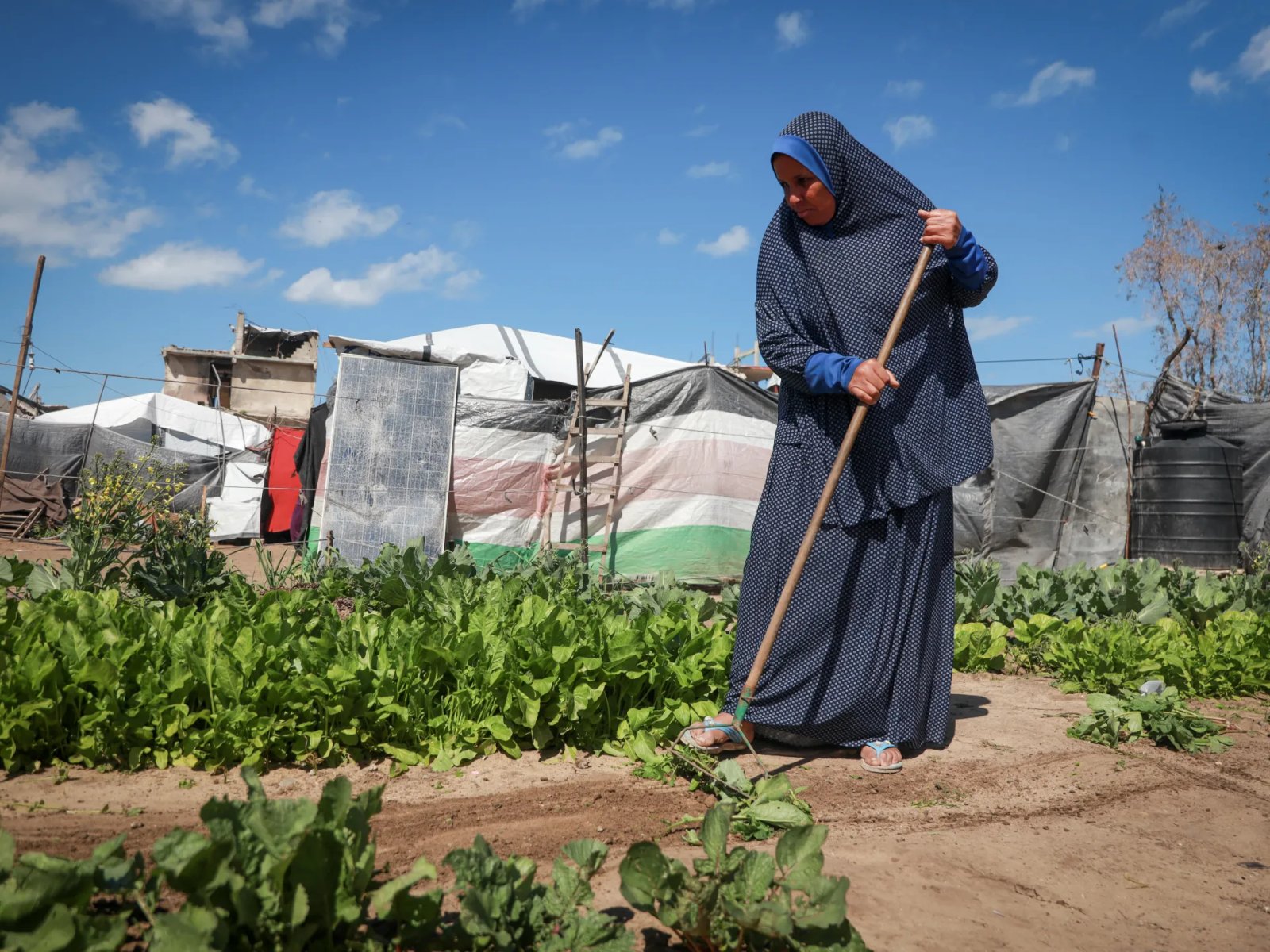 Land Day in Gaza: Between memory and the fight for what remains | Gaza