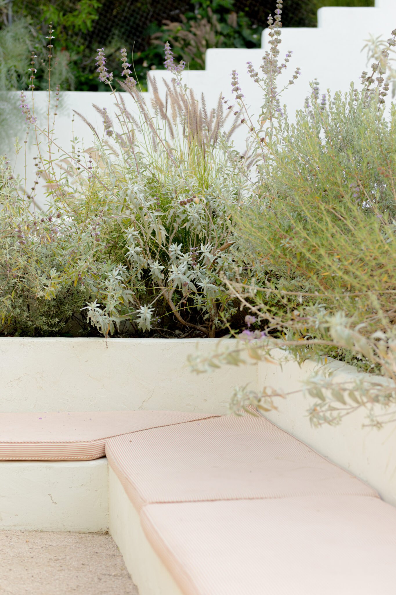 Here Are The Virtues I Am Growing In My Community Garden