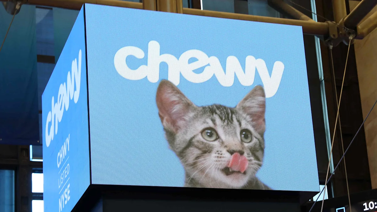 Cat ownership is outpacing dogs. Chewy CEO explains why.