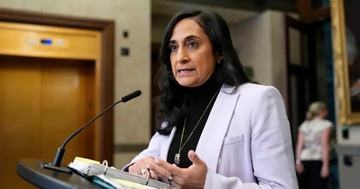 NATO hasn’t received formal request for Strait of Hormuz help, Anand says – National