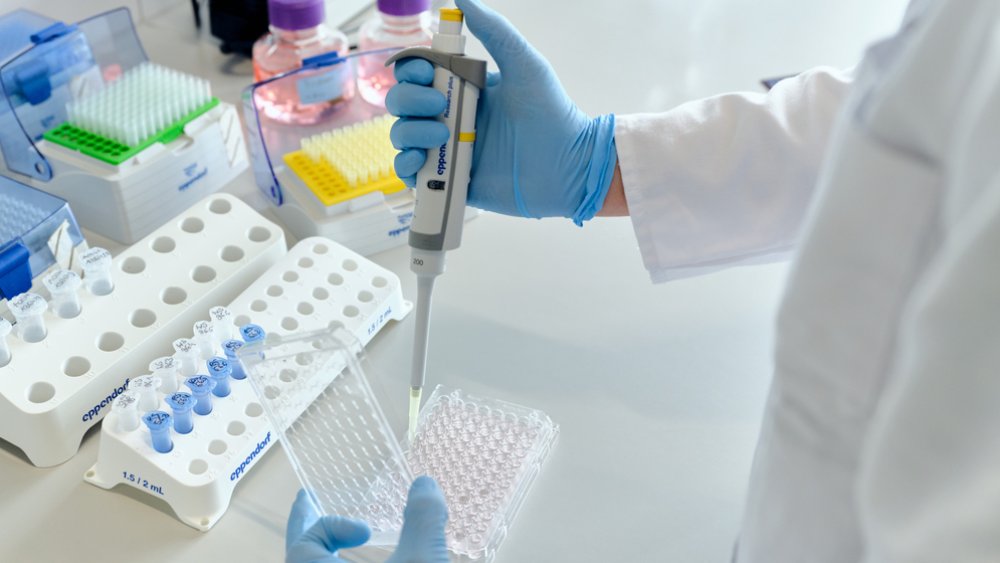 Beiersdorf Strengthens Innovation Agenda With New 100M Euros Venture Capital Fund