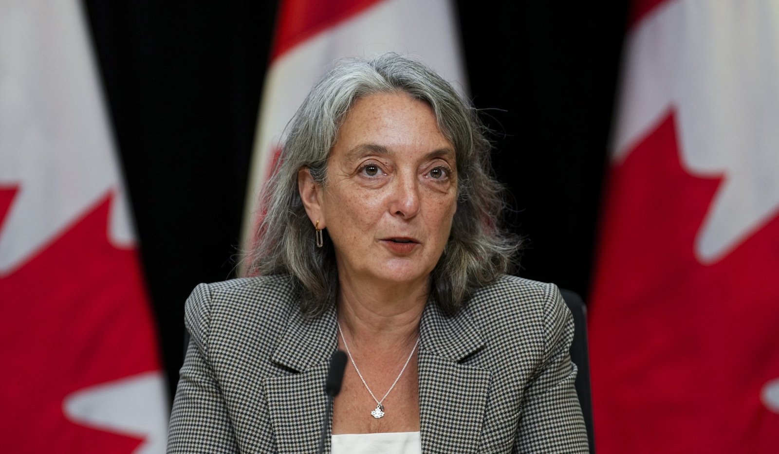 ‘Every day I fight to even keep an industrial carbon price’ environment minister says