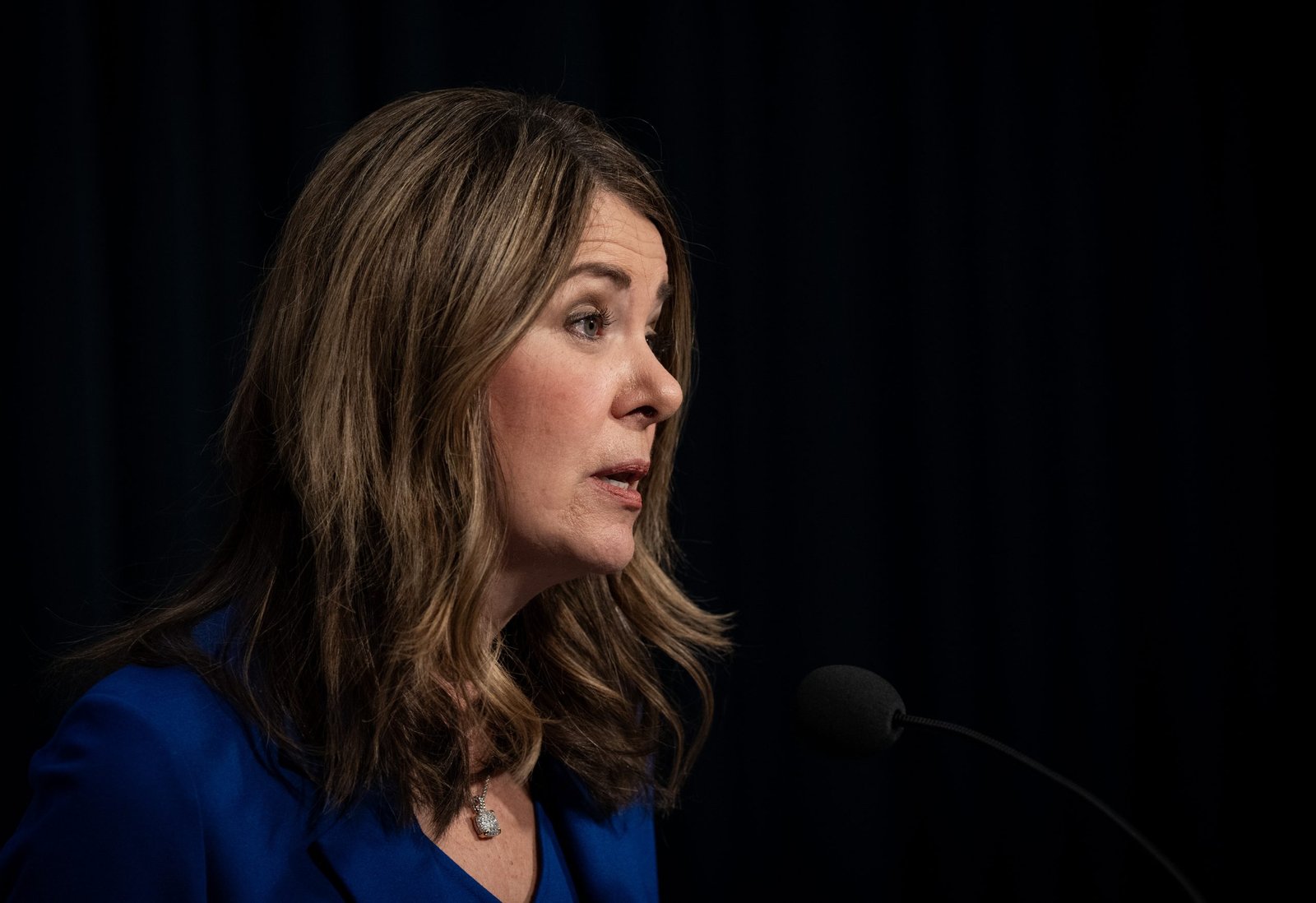 Alberta says ‘more work’ needed to reach deal on Pathways project, carbon pricing